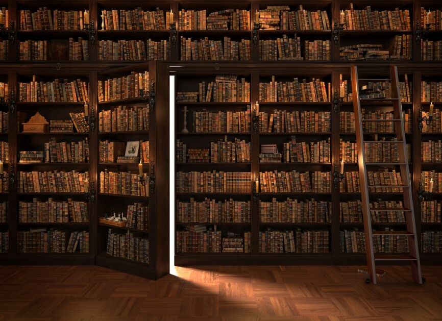 Картина на холсте Книжный шкаф, арт hd1586801